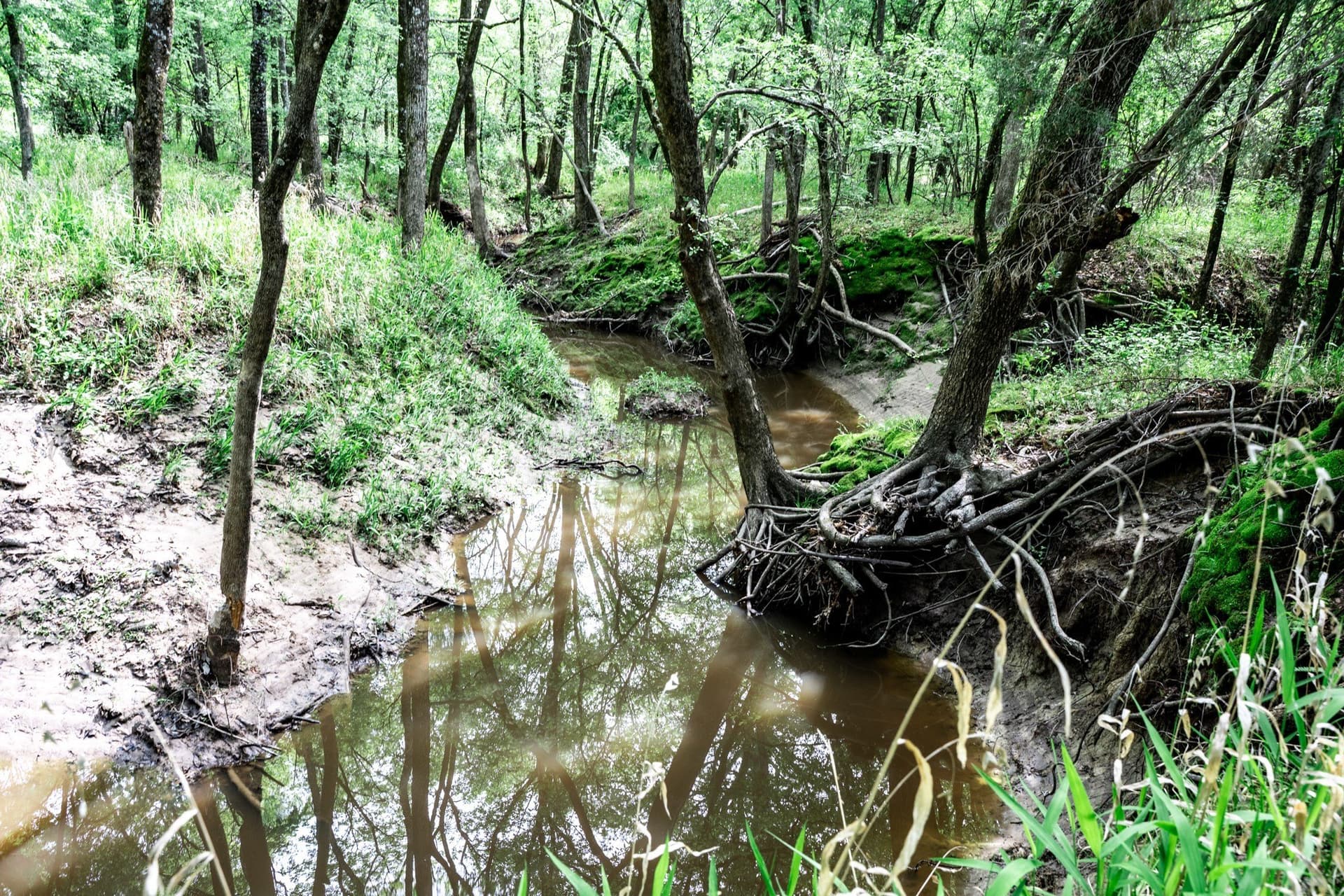 25 acres in Hunt County - photo 30