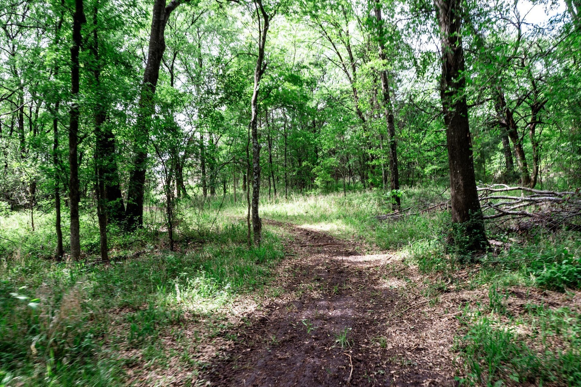 25 acres in Hunt County - photo 31