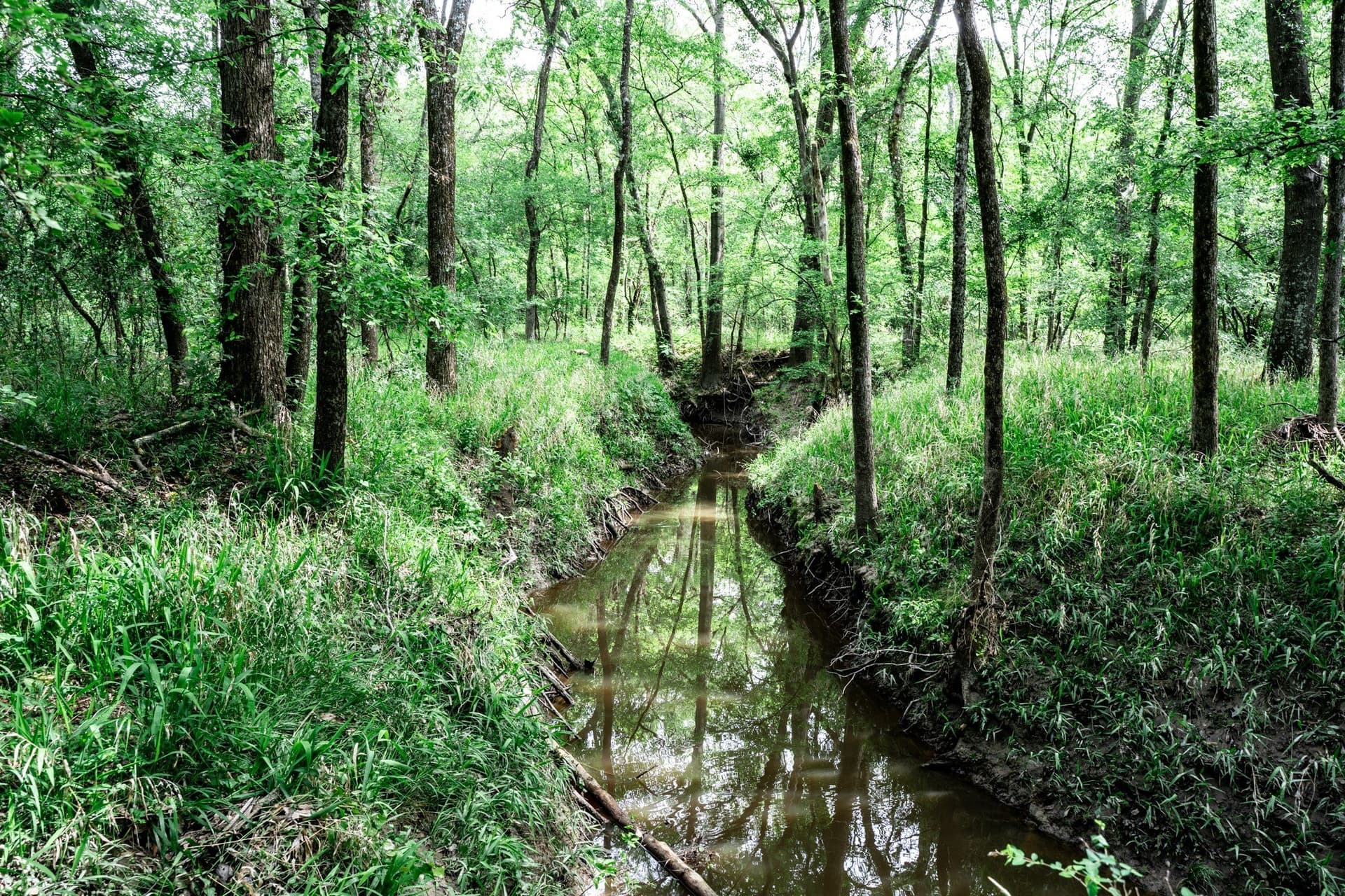 25 acres in Hunt County - photo 28