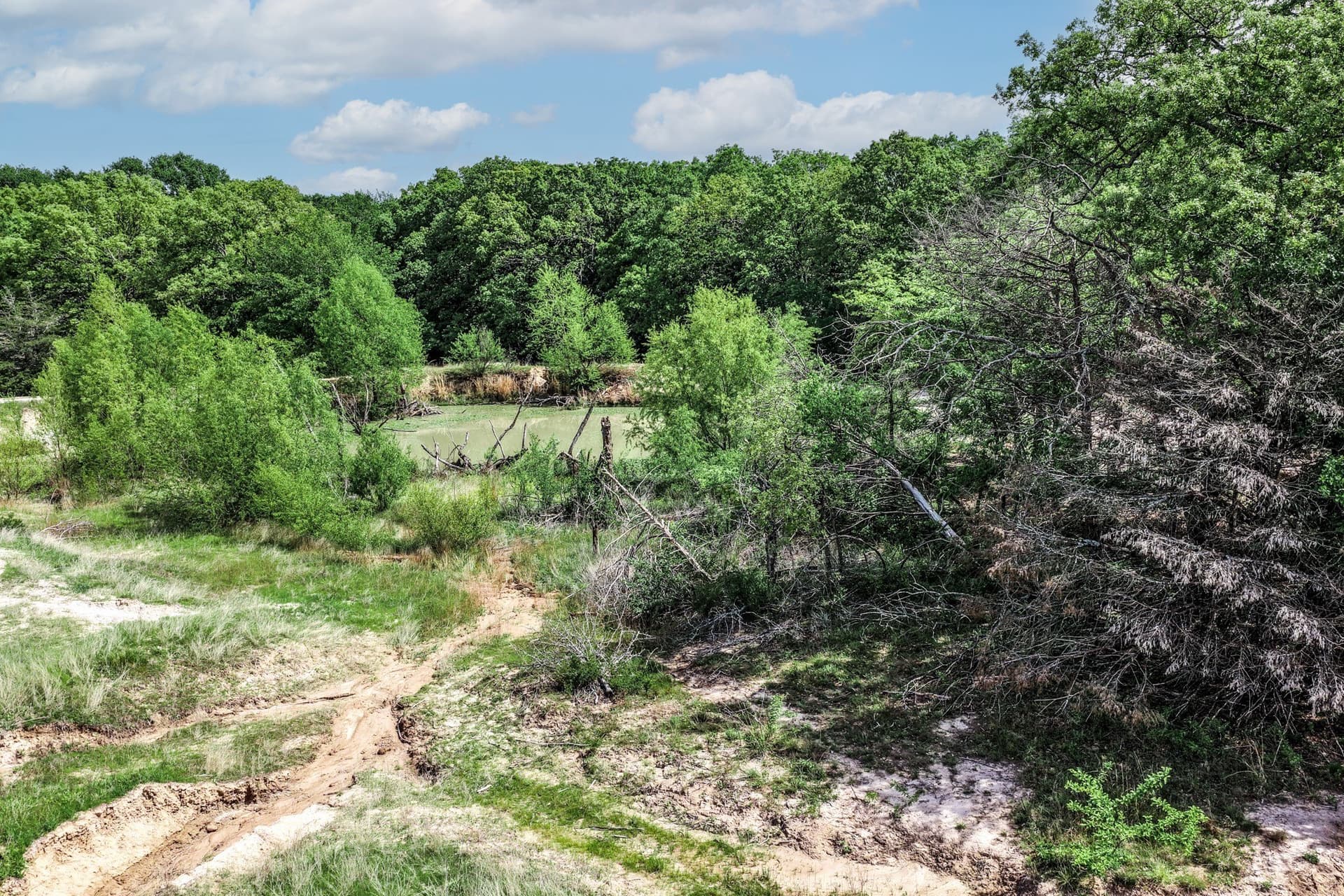 25 acres in Hunt County - photo 13