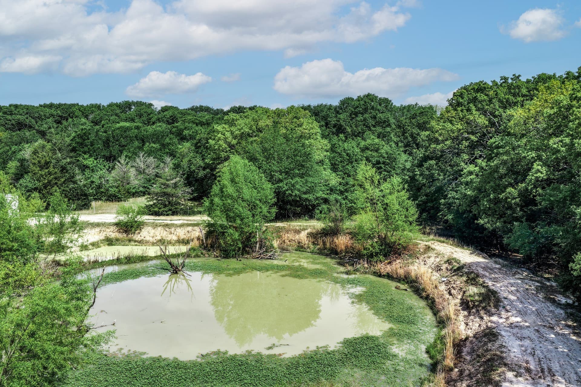 25 acres in Hunt County - photo 12