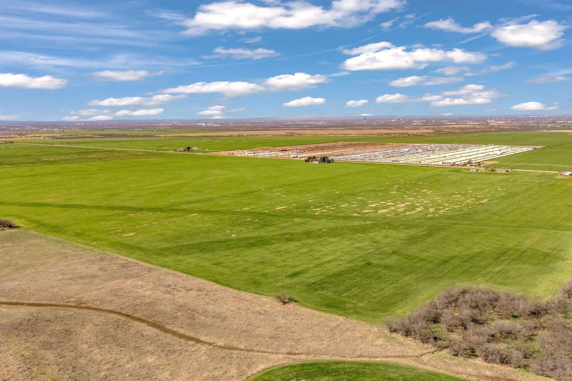 196 acres in Taylor County gallery image 3