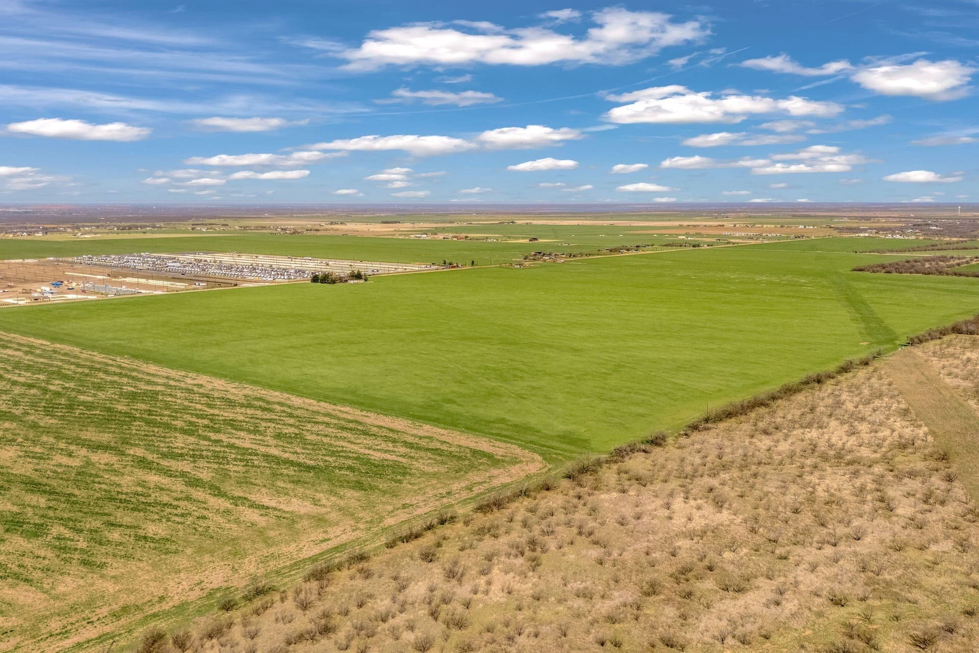 196 acres in Taylor County gallery image 4