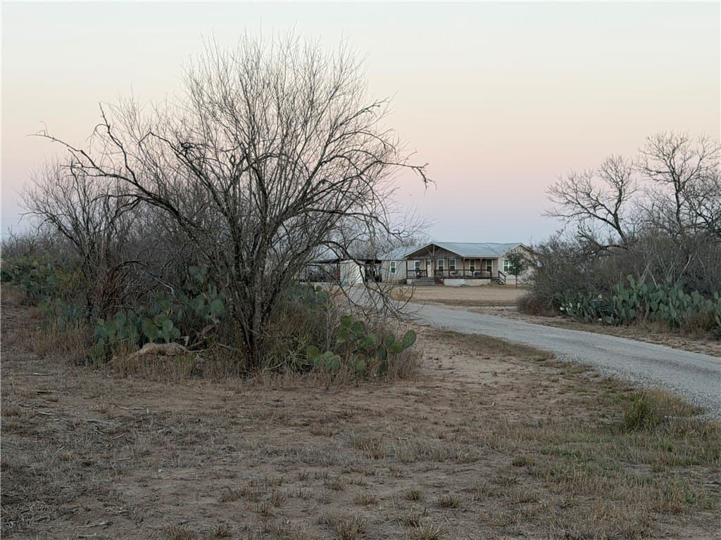 16 acres in Live Oak County gallery image 2