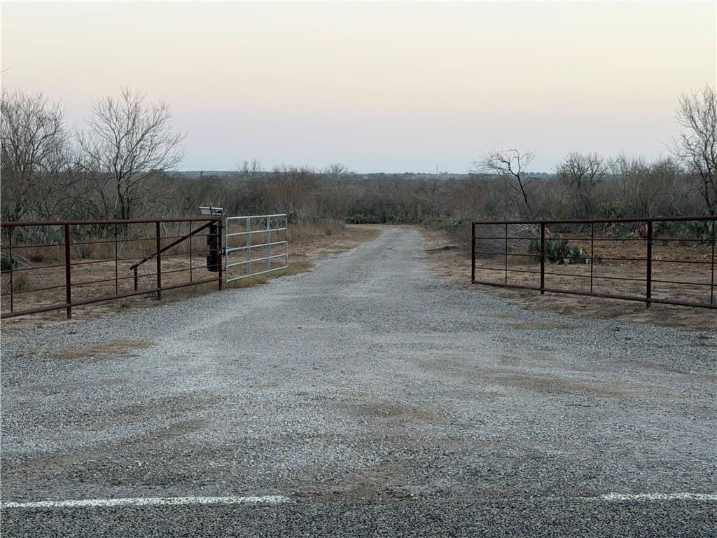 16 acres in Live Oak County gallery image 3