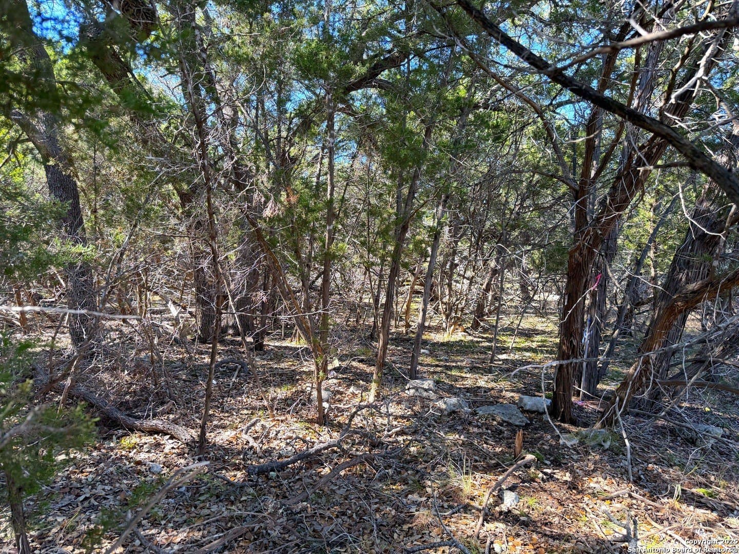 0.28 acres in Comal County gallery image 4