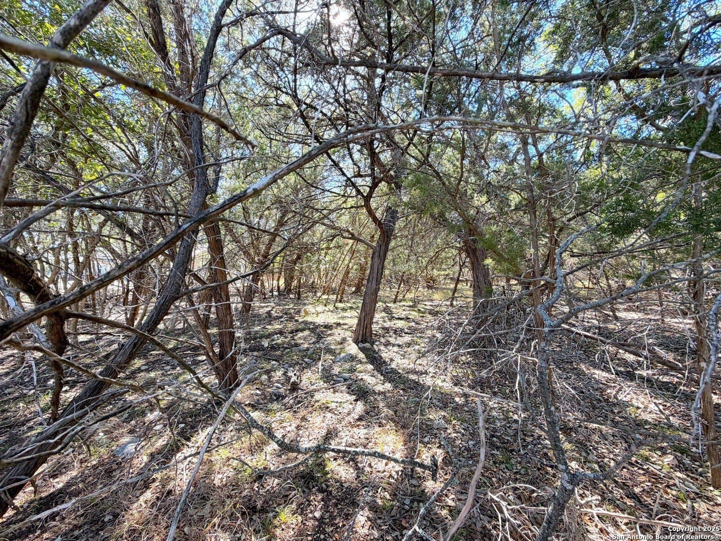 0.28 acres in Comal County - photo 6