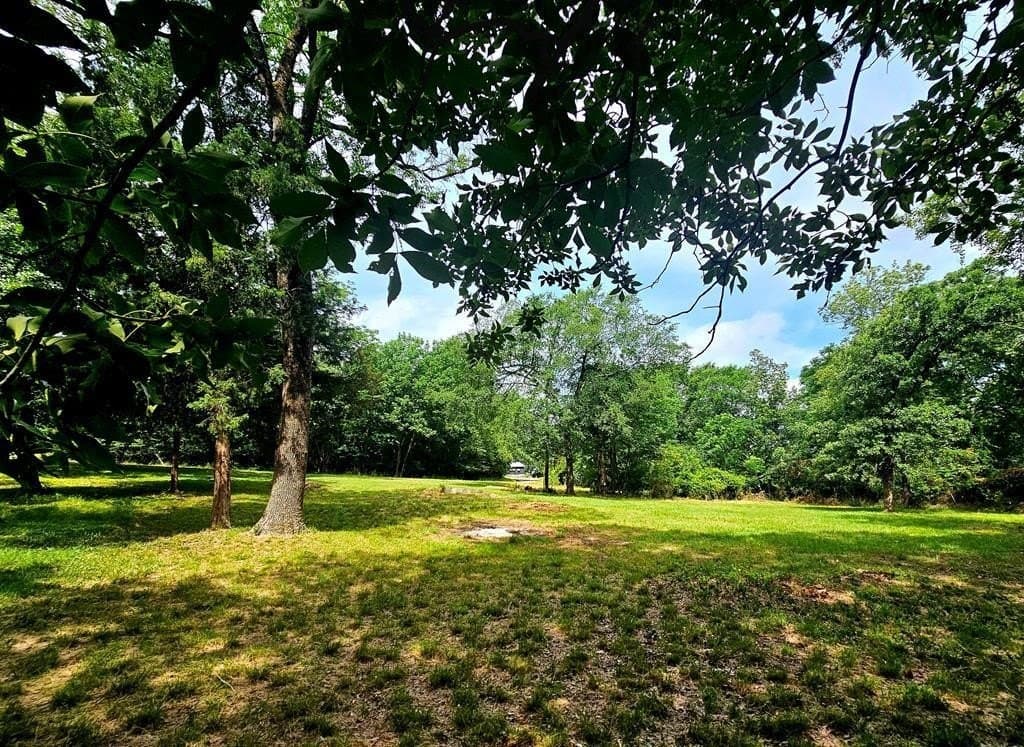 0.46 acres in Henderson County - photo 2