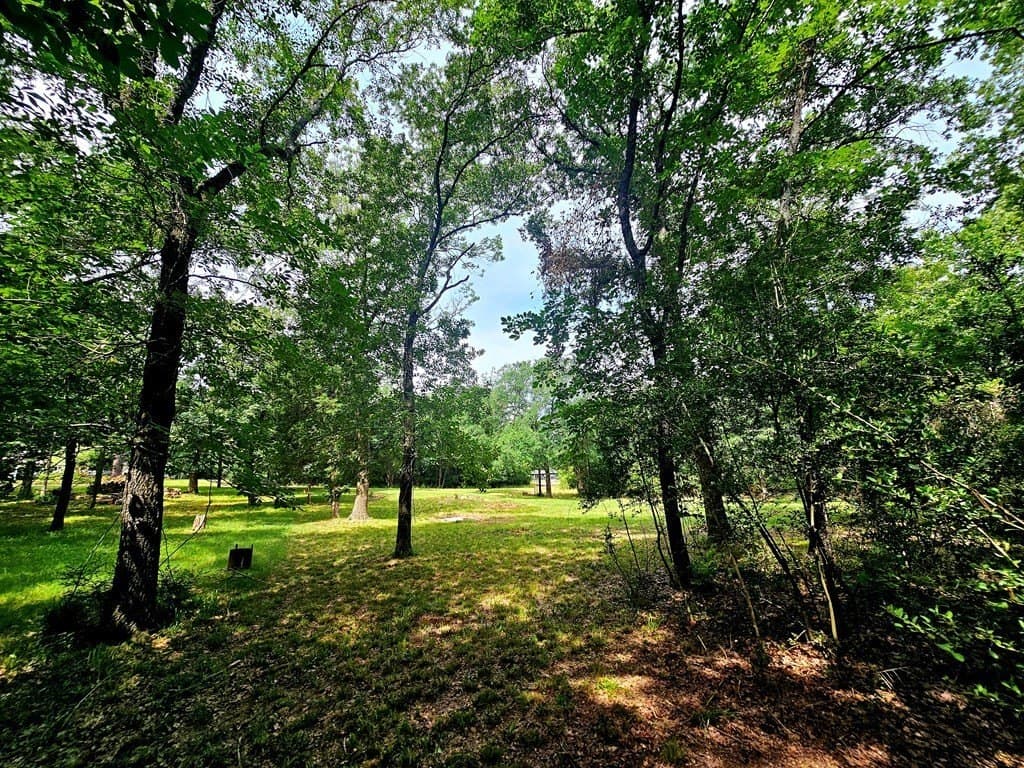 0.46 acres in Henderson County - photo 4