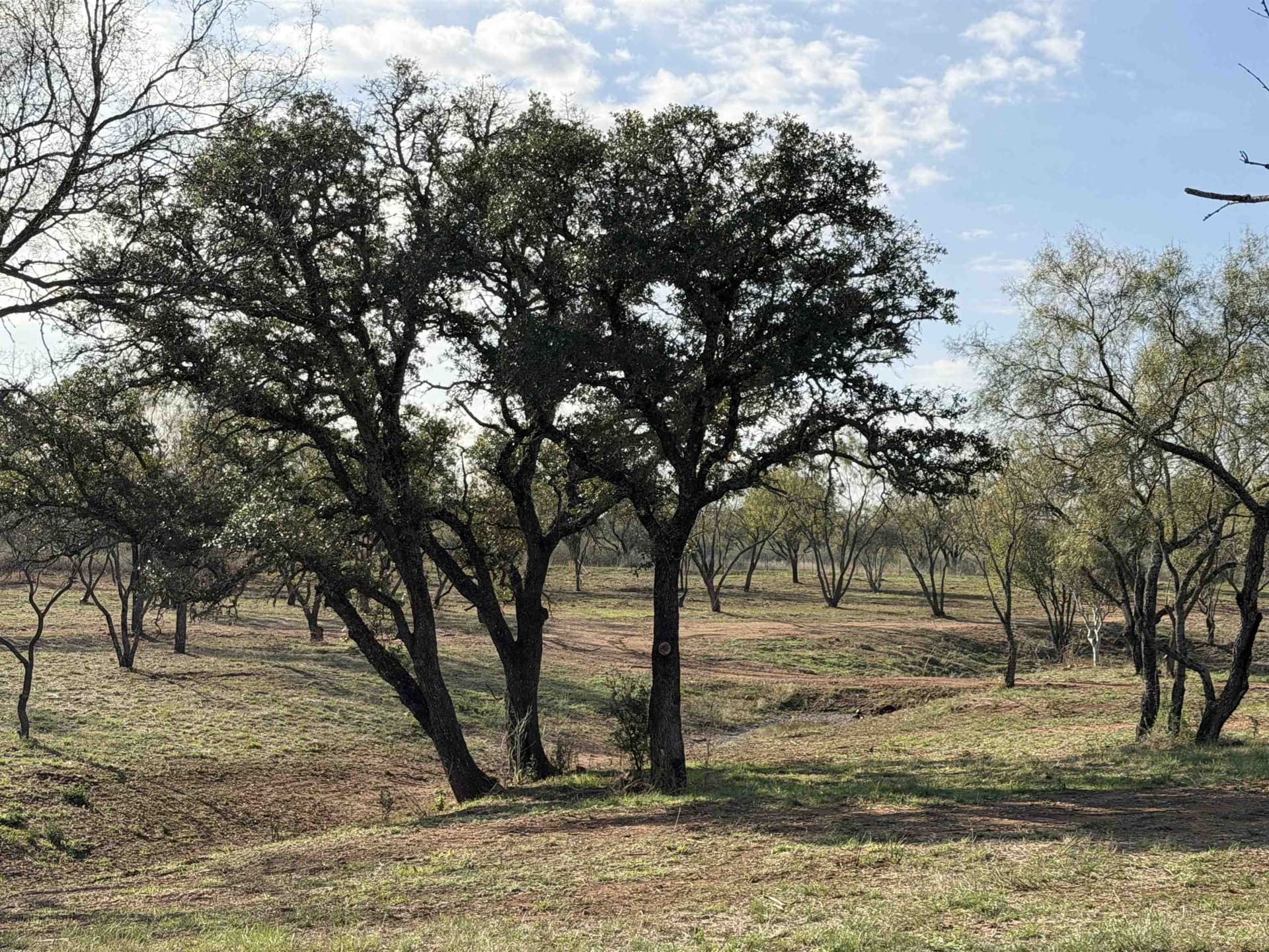 13 acres in Llano County - photo 8