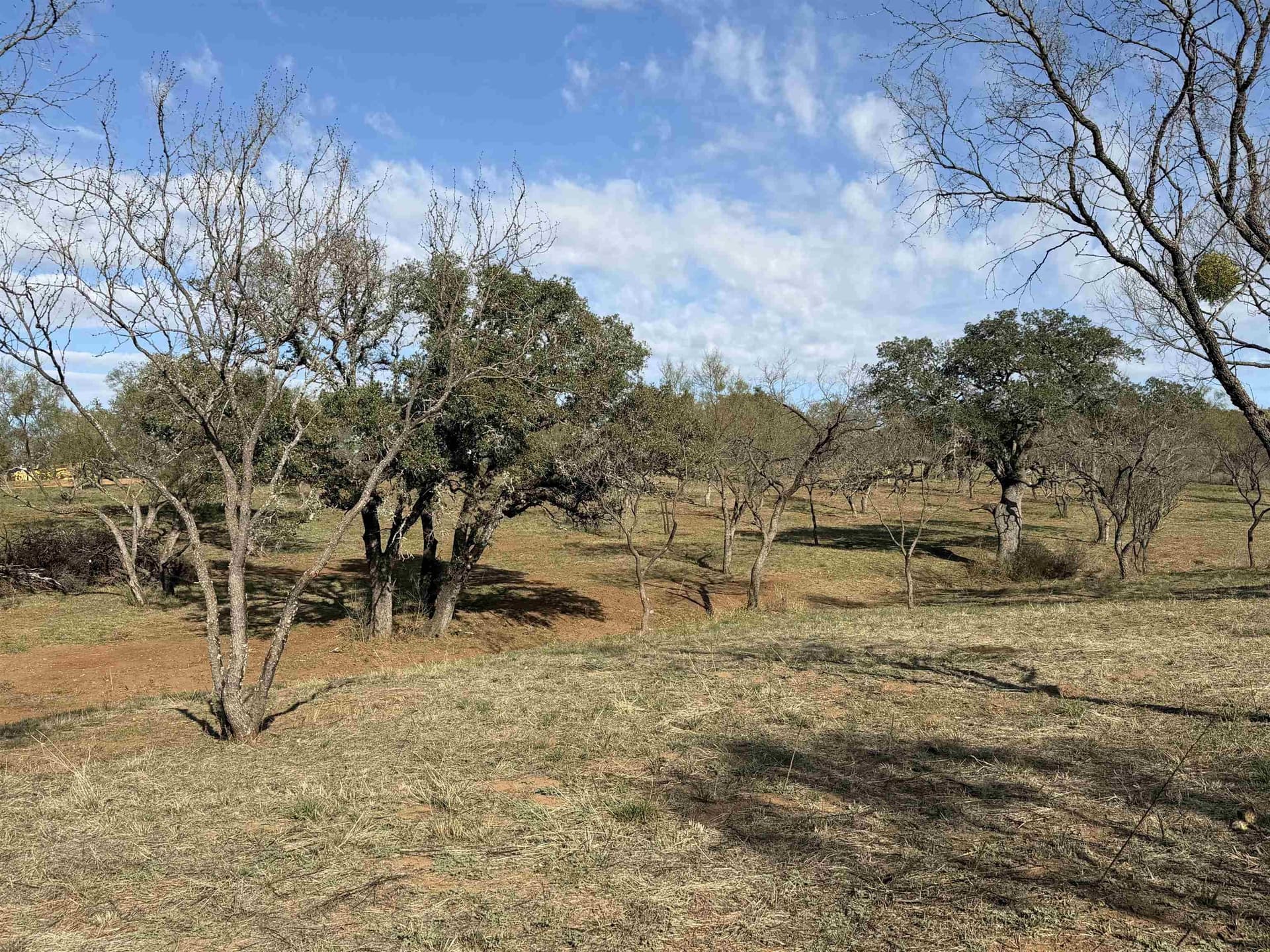 13 acres in Llano County - photo 9