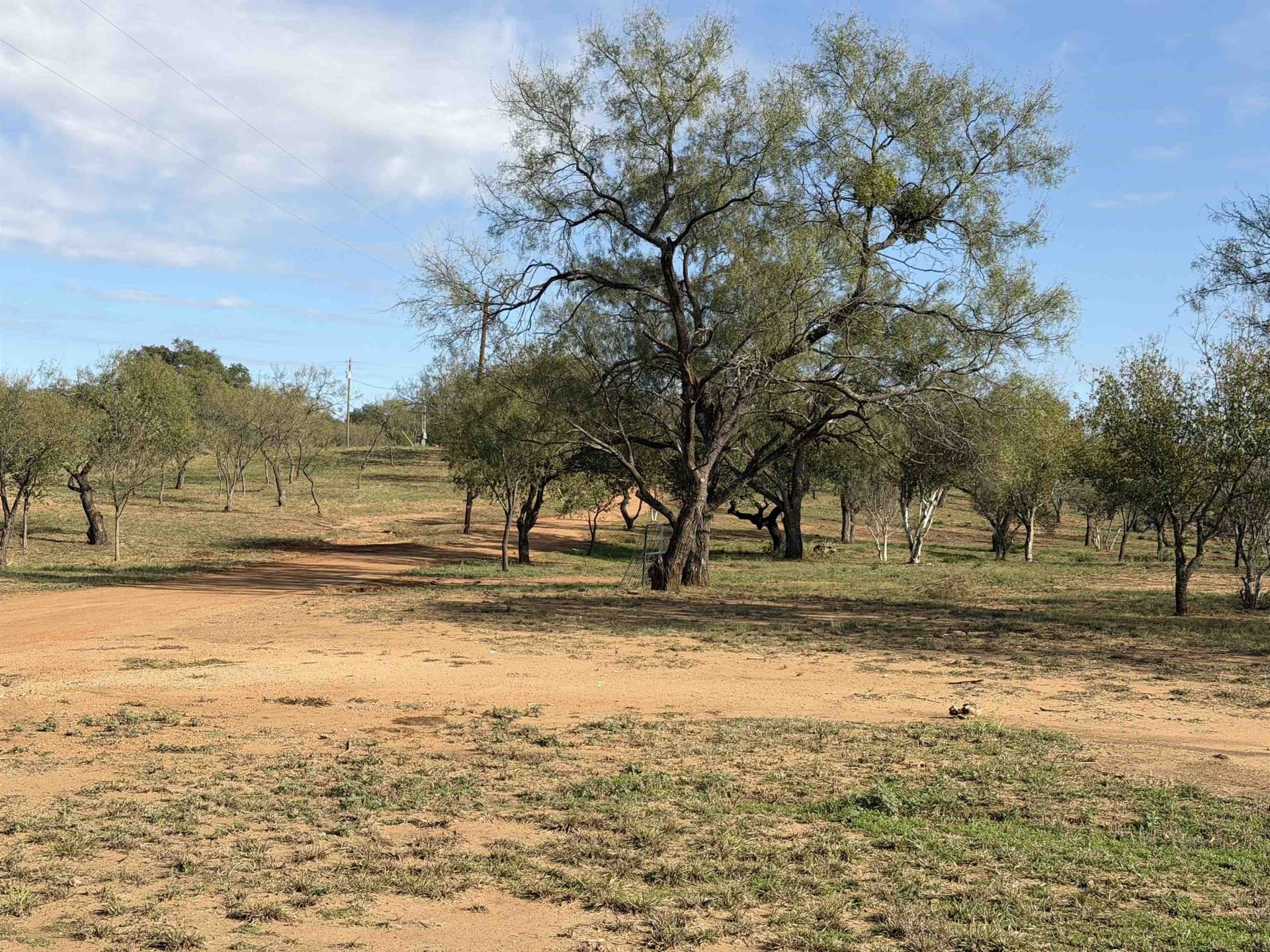 13 acres in Llano County - photo 4