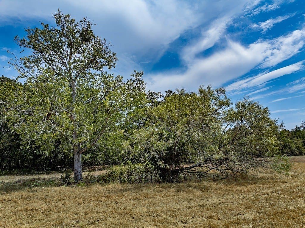 66.92 acres in Fayette County - photo 5