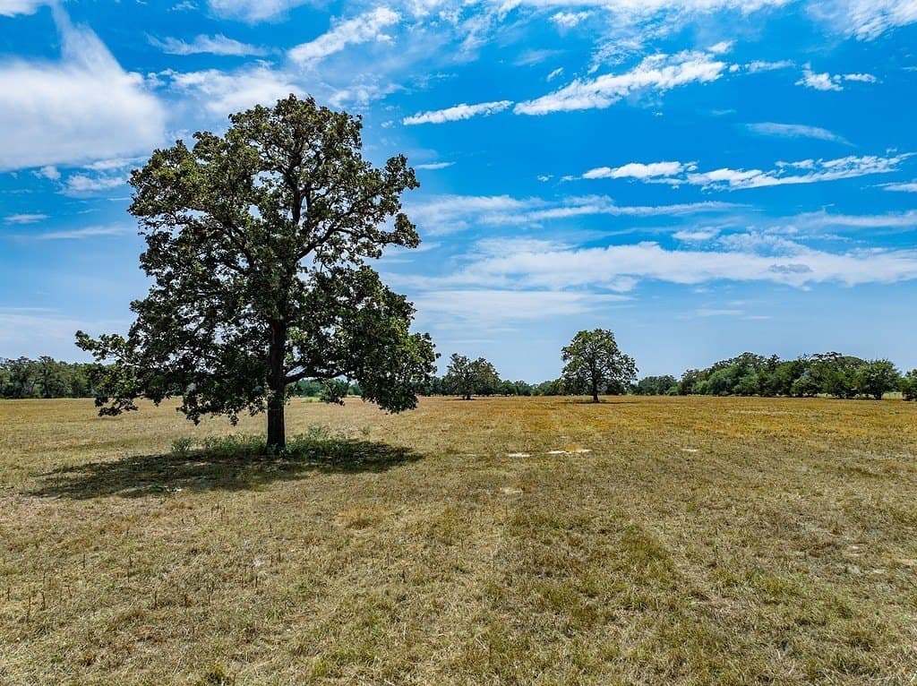 66.92 acres in Fayette County - photo 12