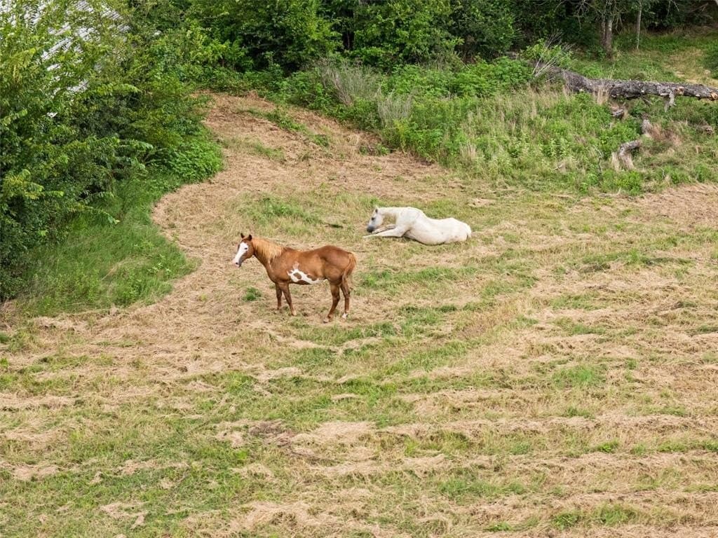 28 acres in Van Zandt County
