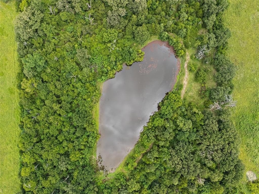 28 acres in Van Zandt County gallery image 2