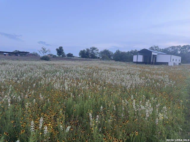 2.5 acres in Guadalupe County gallery image 4