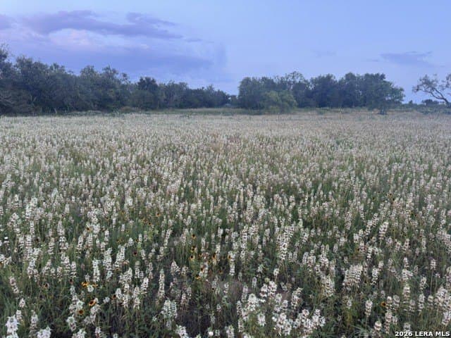 2.5 acres in Guadalupe County gallery image 2