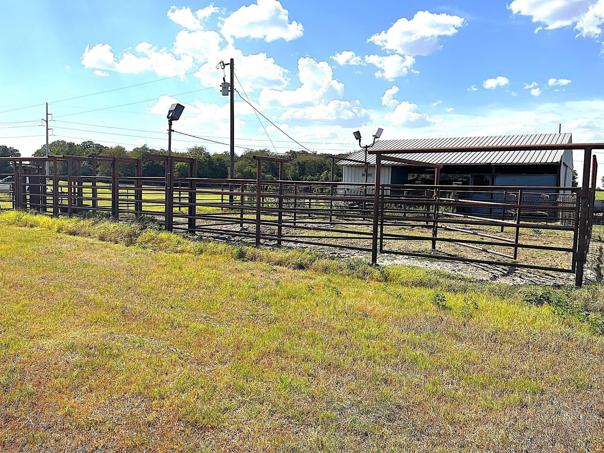 99.17 acres in Robertson County - photo 11