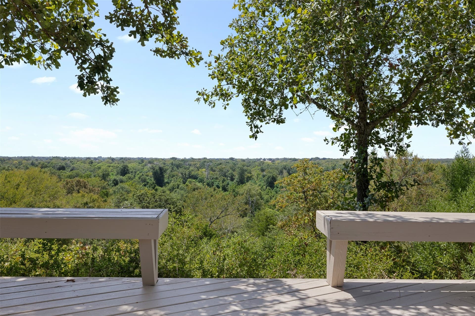 99.17 acres in Robertson County - photo 4