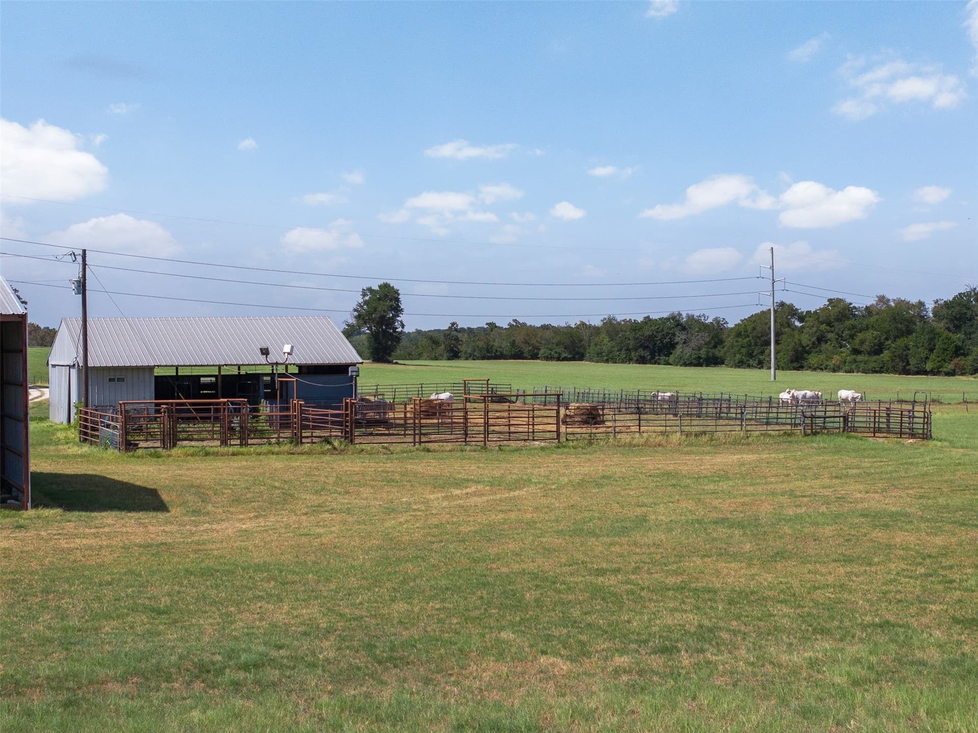 99.17 acres in Robertson County - photo 10