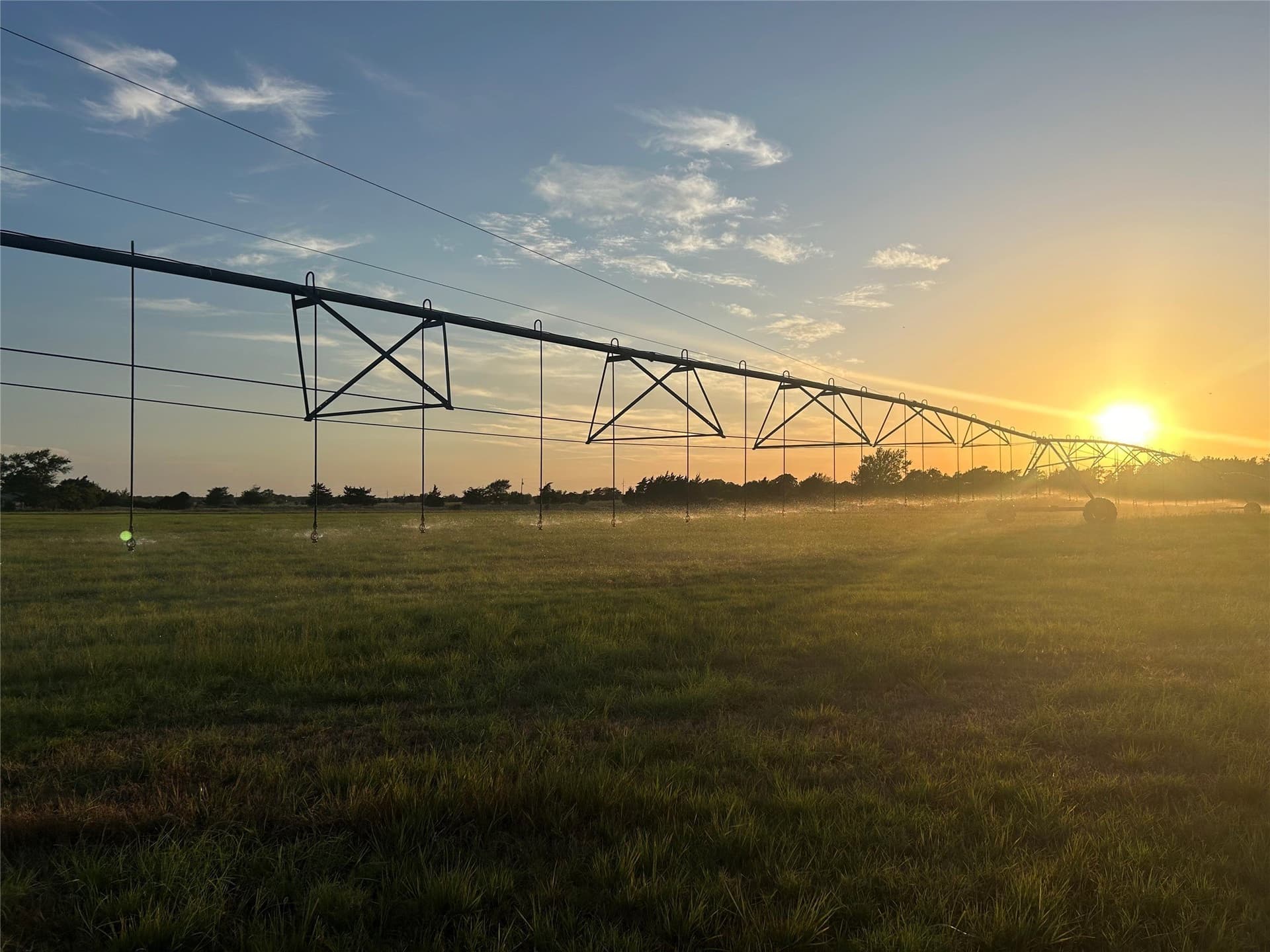99.17 acres in Robertson County - photo 7