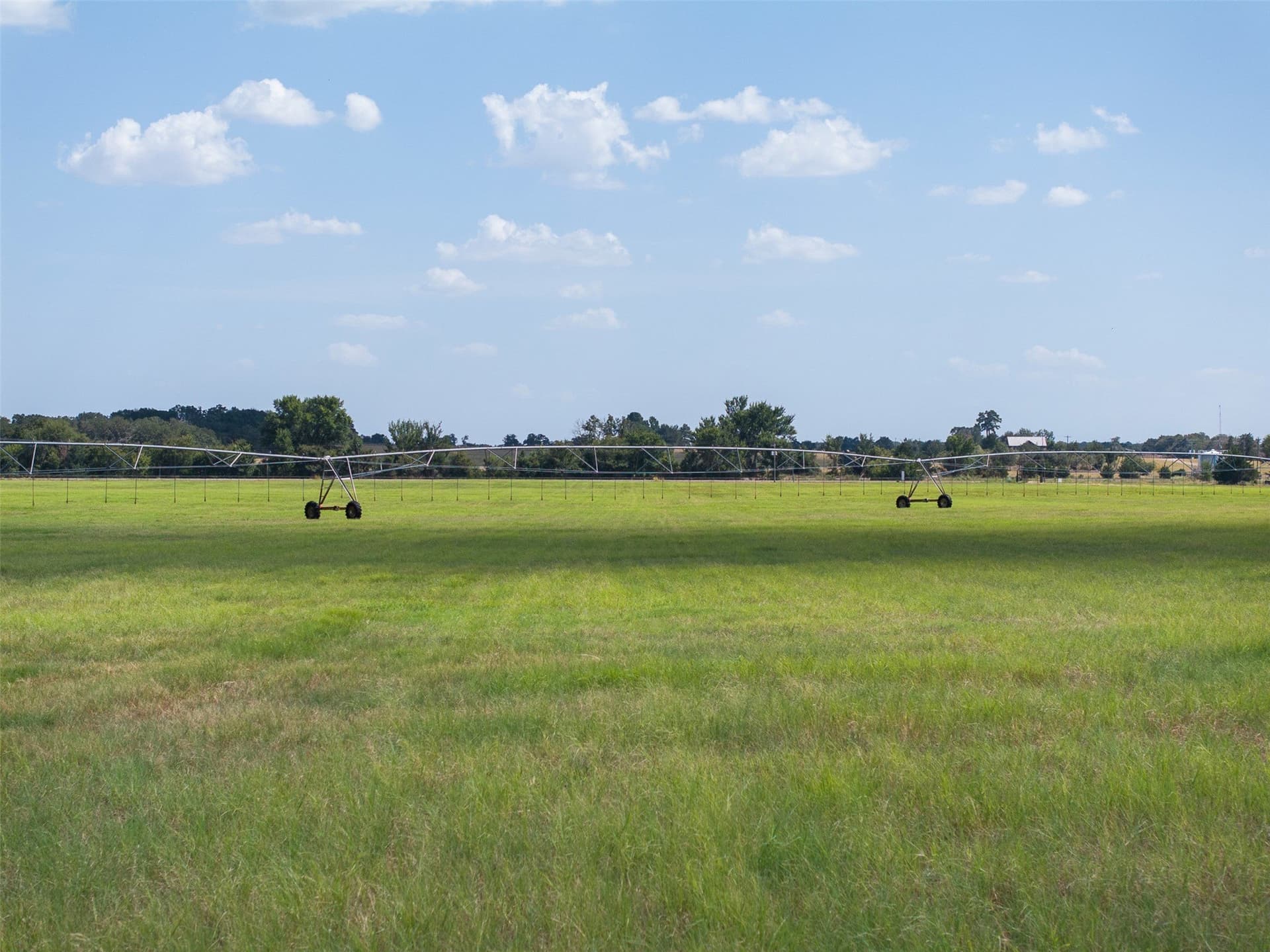 99.17 acres in Robertson County - photo 16