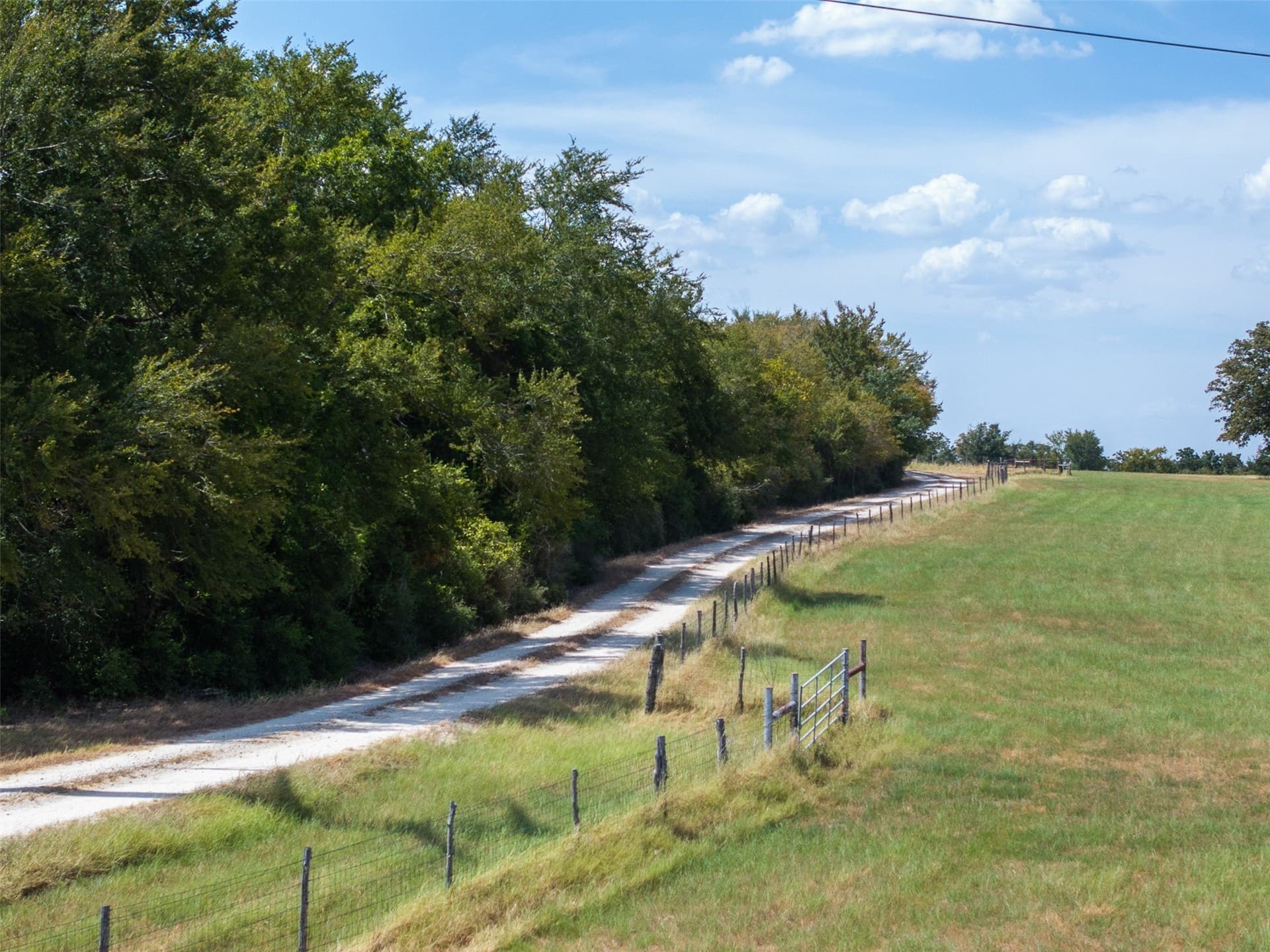99.17 acres in Robertson County - photo 8