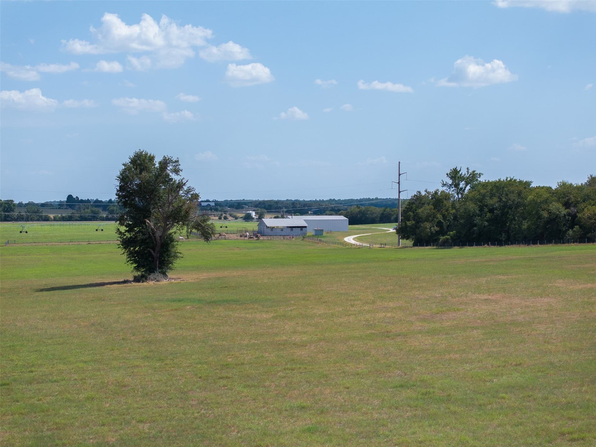99.17 acres in Robertson County - photo 13
