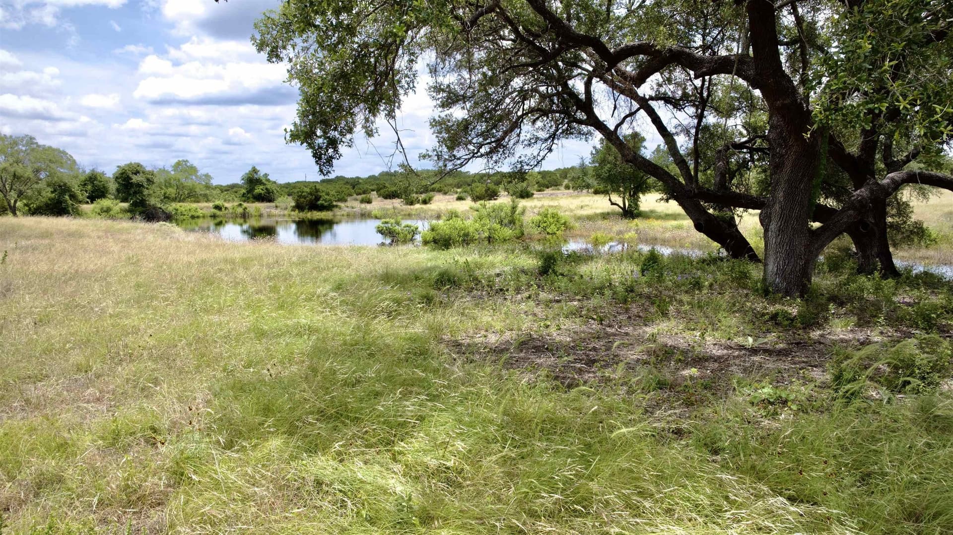 13.21 acres in Burnet County - photo 3