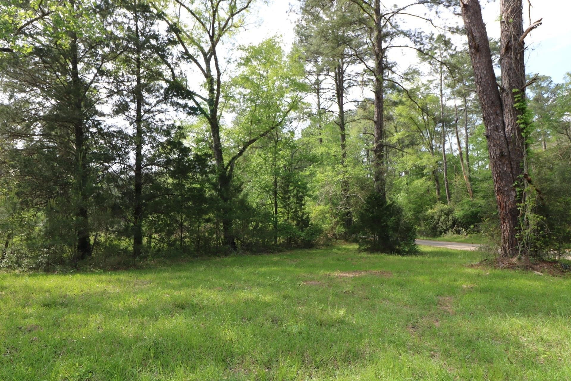 55.8 acres in Texas County gallery image 4