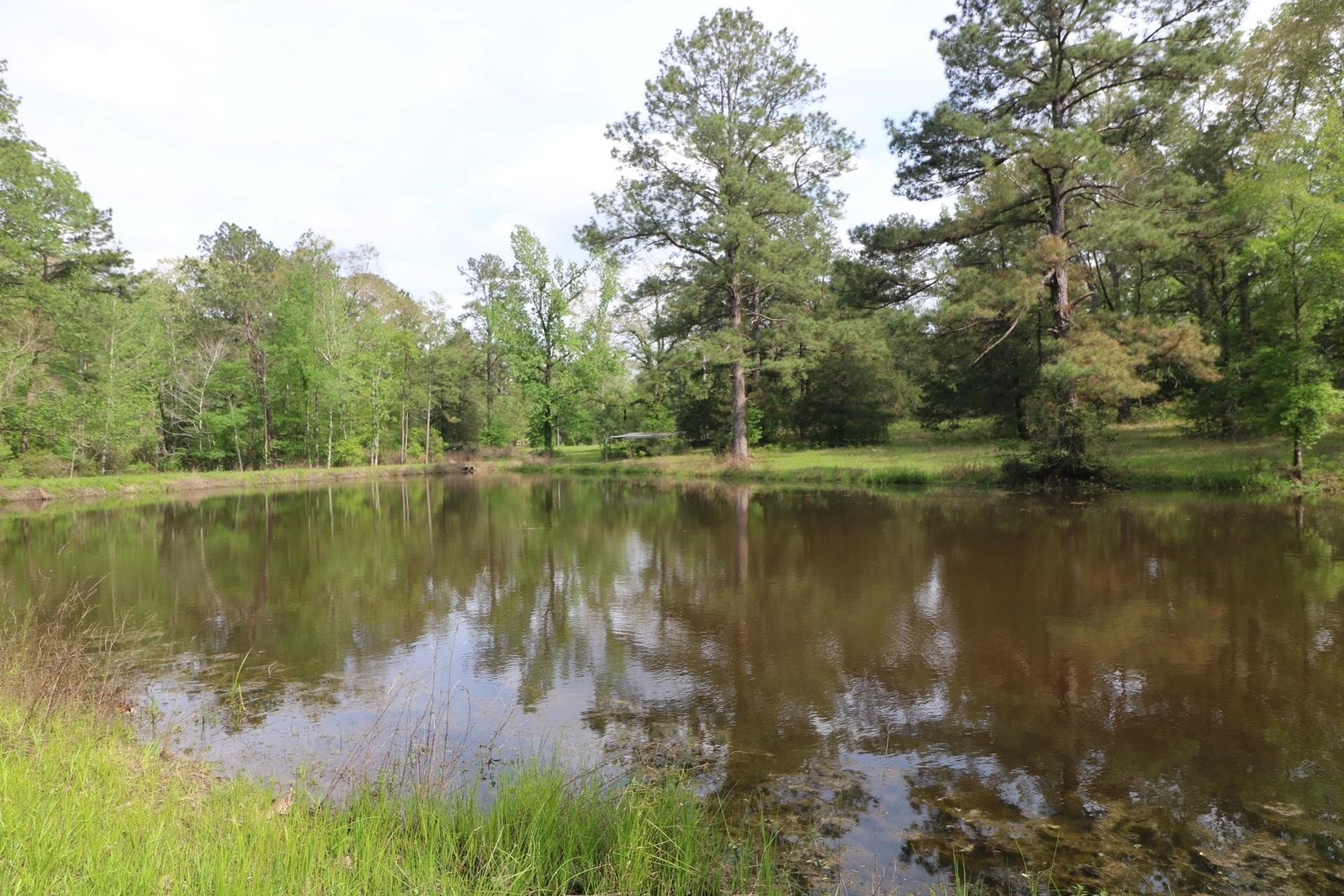 55.8 acres in Texas County - photo 12