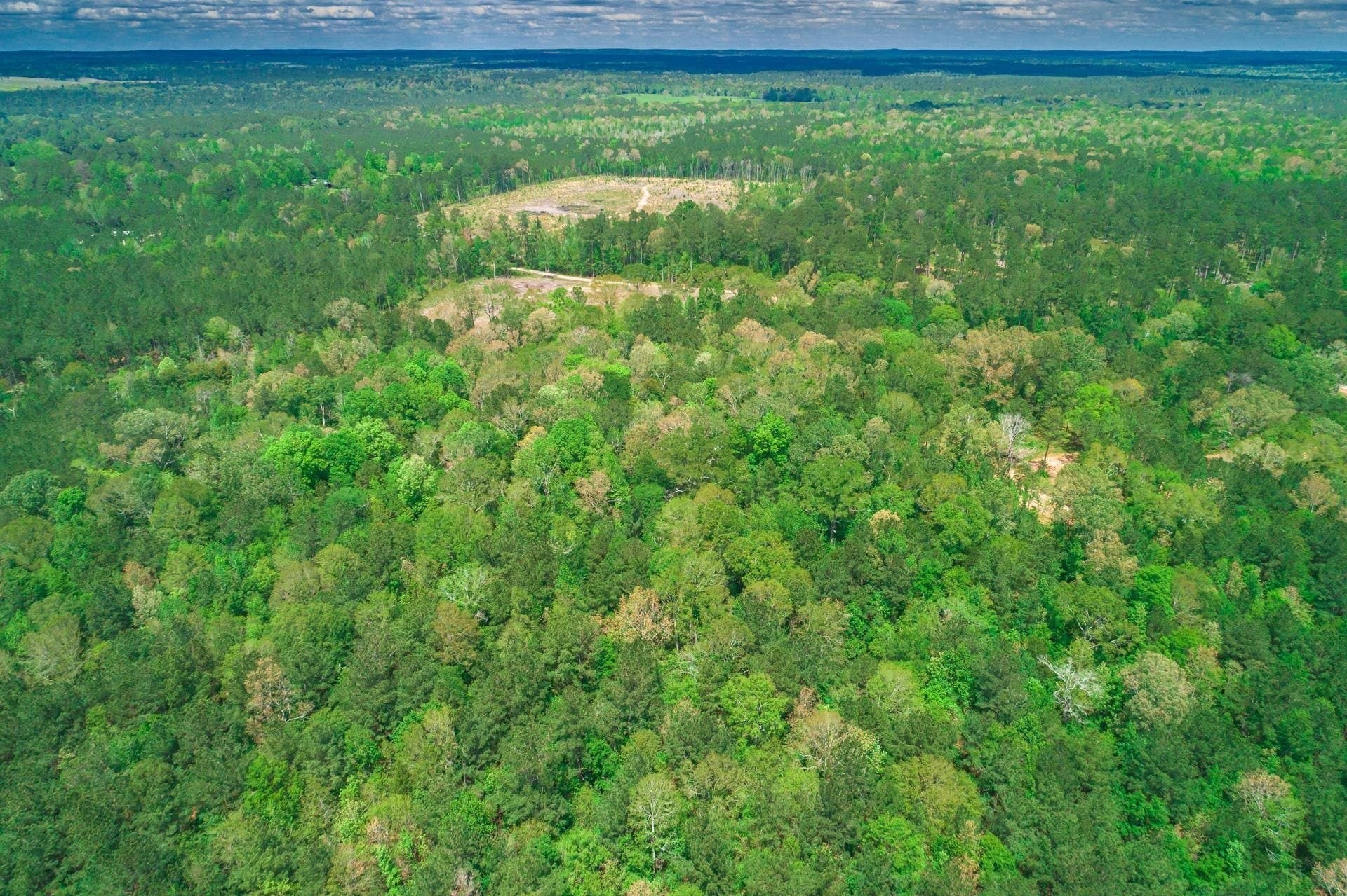 55.8 acres in Texas County - photo 23