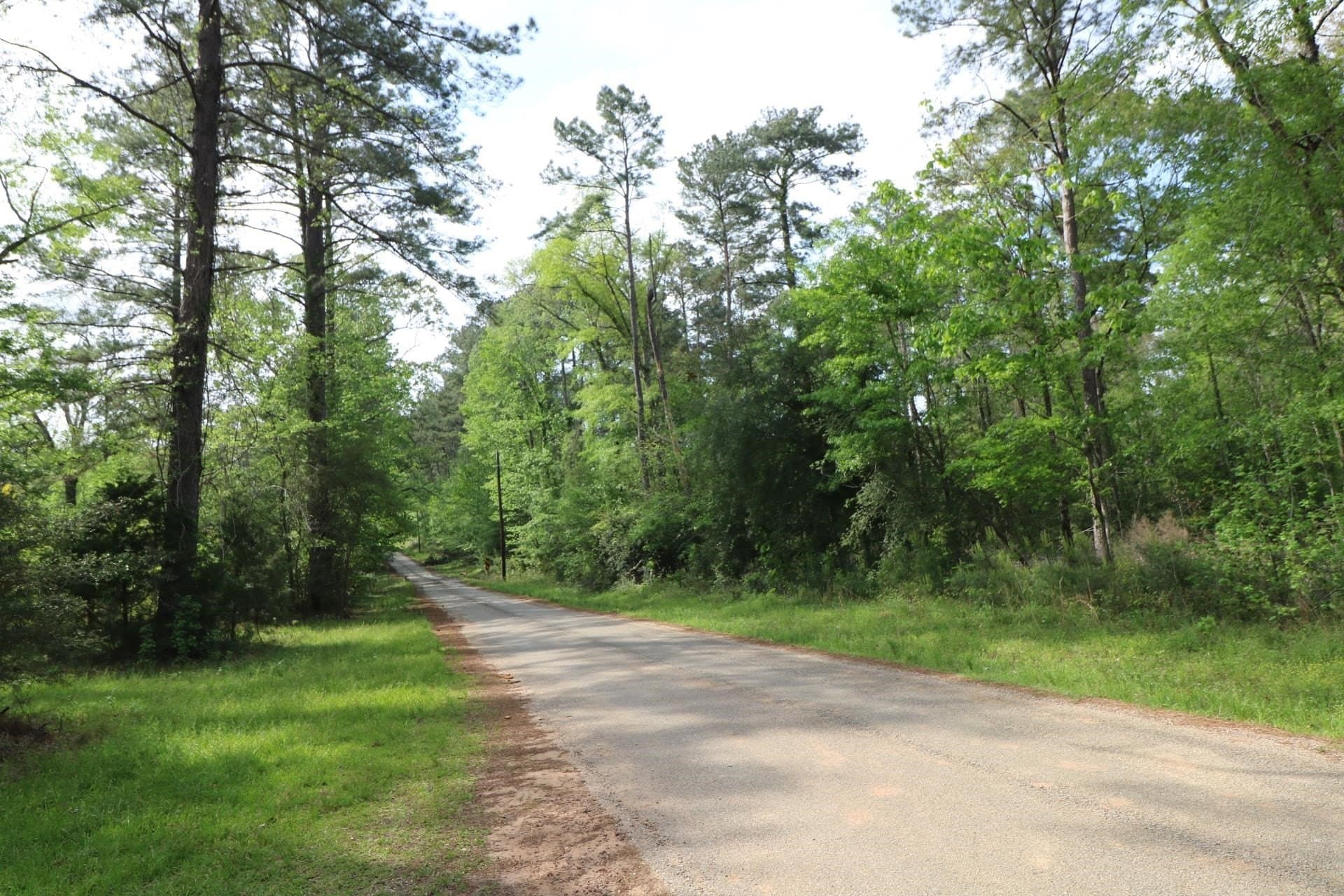 55.8 acres in Texas County - photo 7