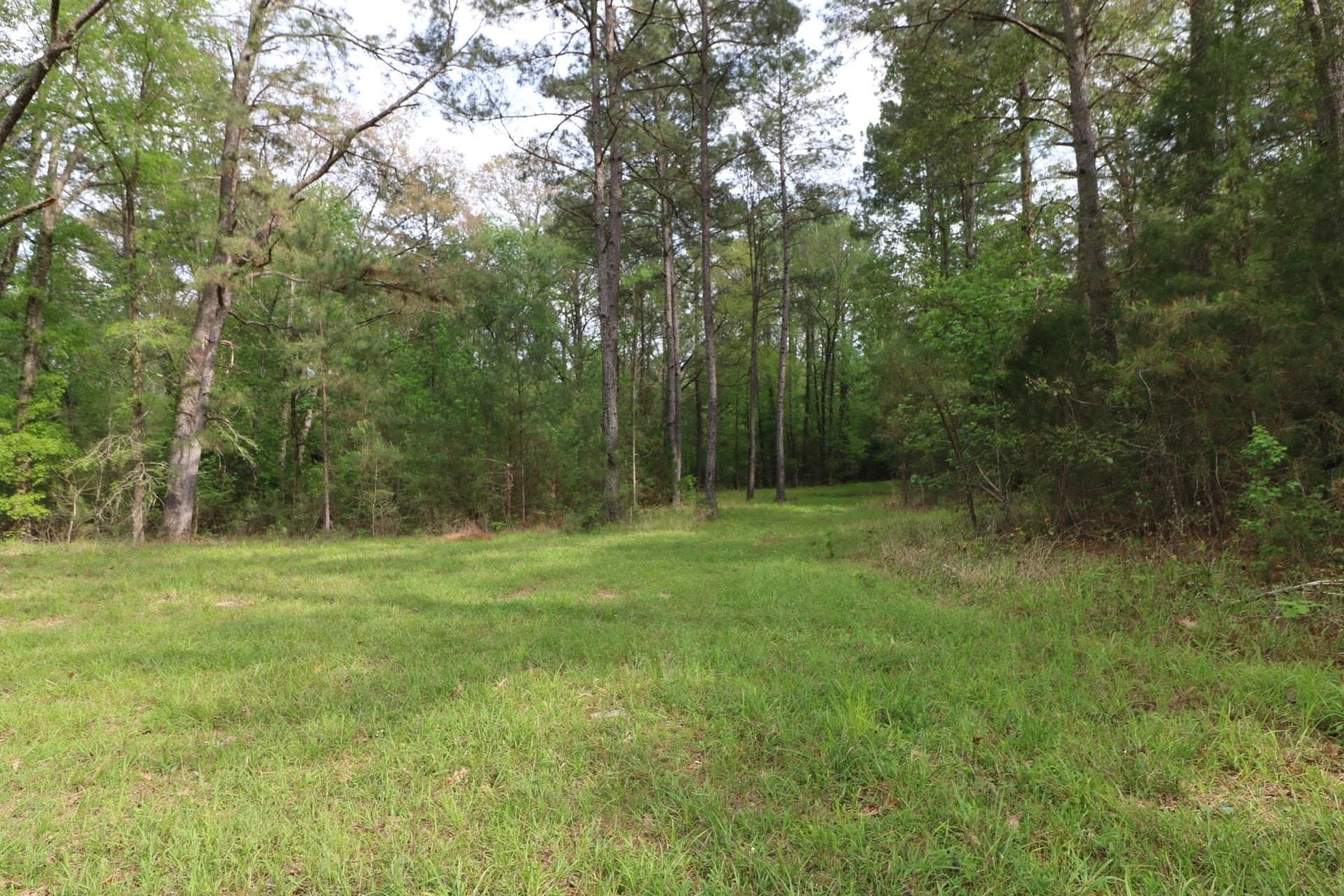 55.8 acres in Texas County - photo 6