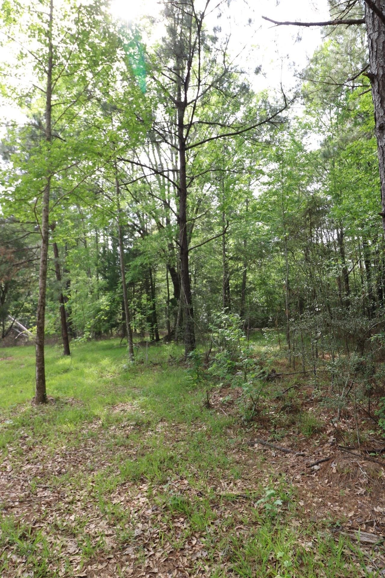 55.8 acres in Texas County - photo 15
