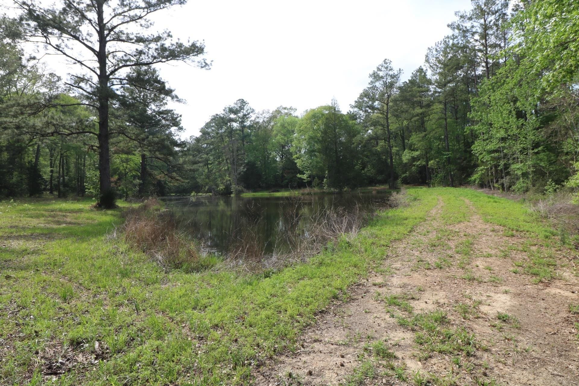 55.8 acres in Texas County - photo 9
