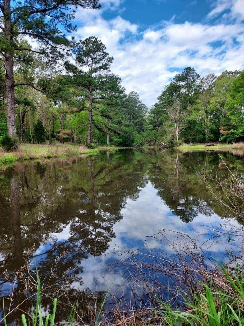 55.8 acres in Texas County - photo 10