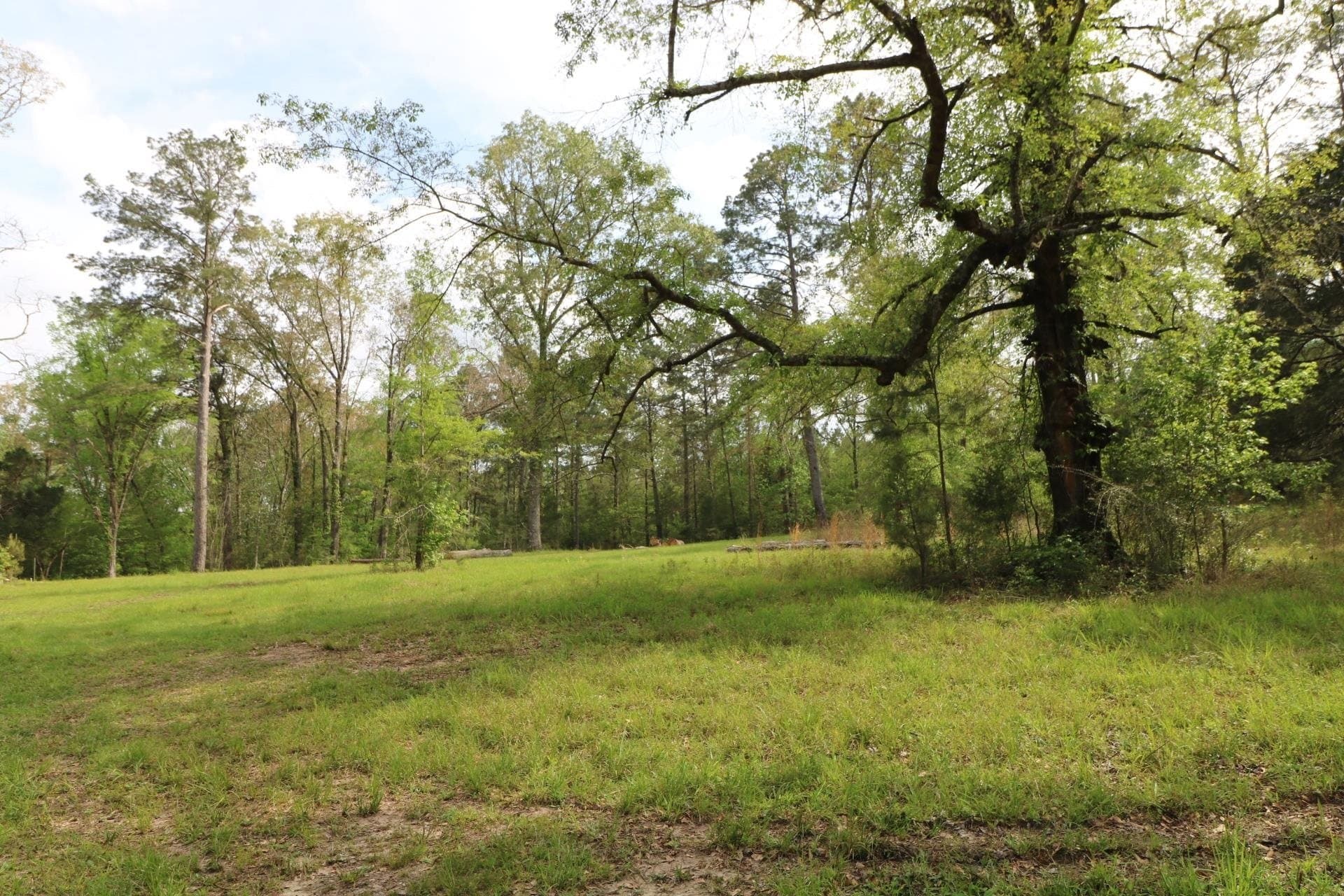 55.8 acres in Texas County - photo 16
