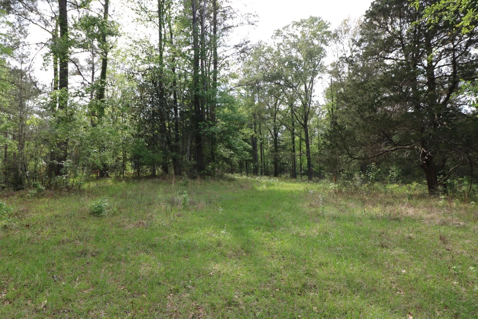 55.8 acres in Texas County - photo 17