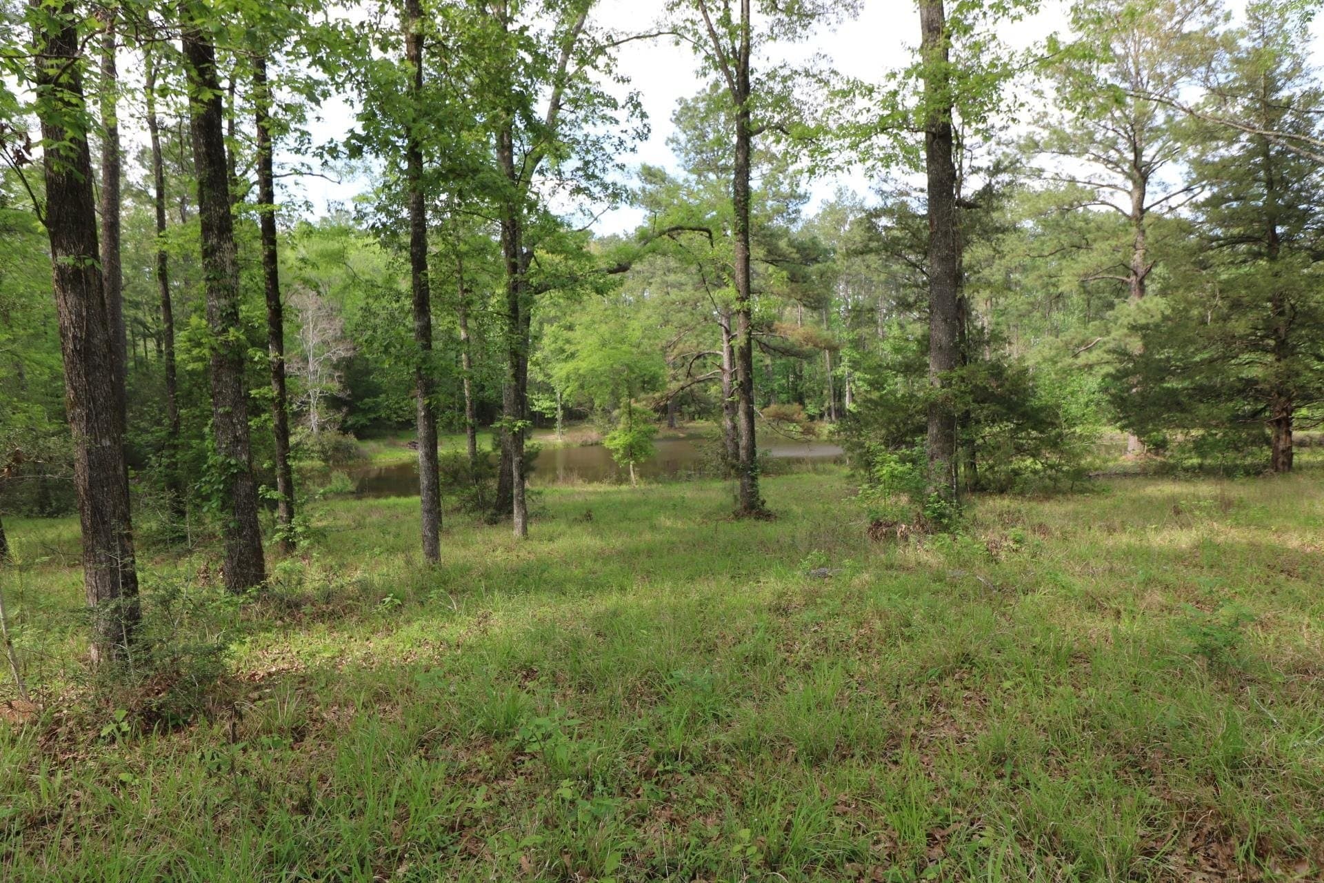 55.8 acres in Texas County - photo 19
