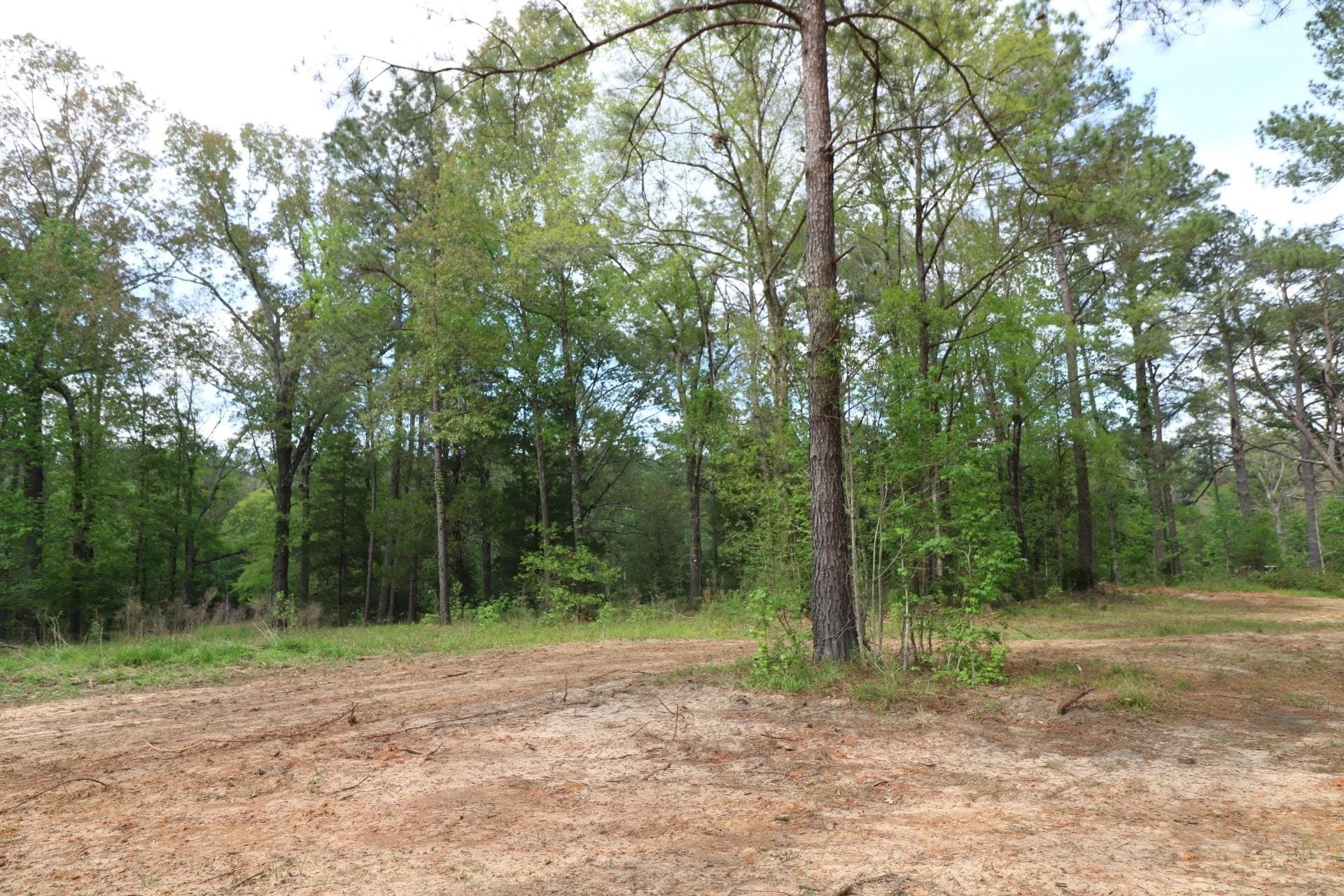 55.8 acres in Texas County - photo 13