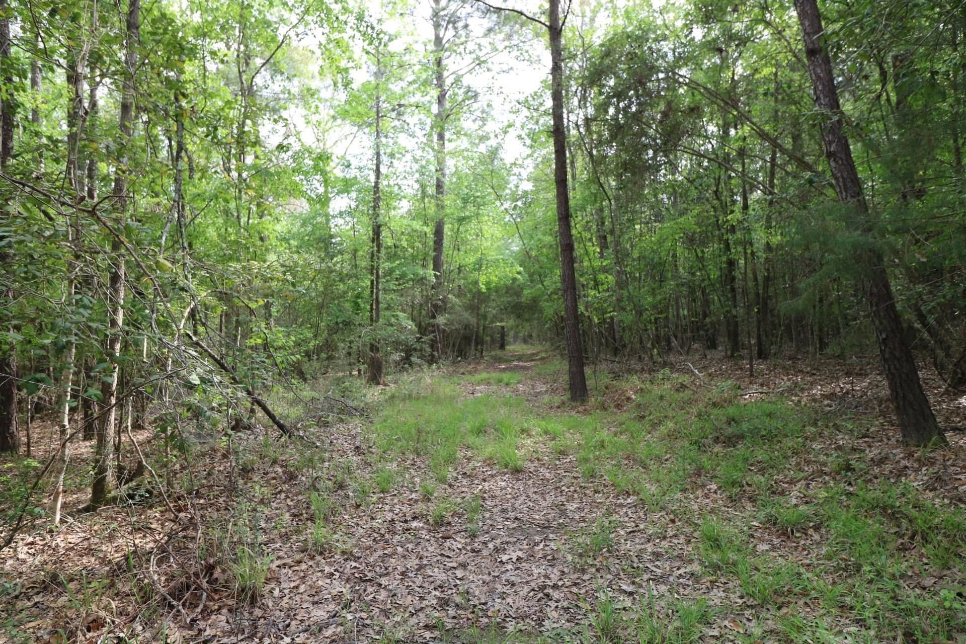 55.8 acres in Texas County - photo 21