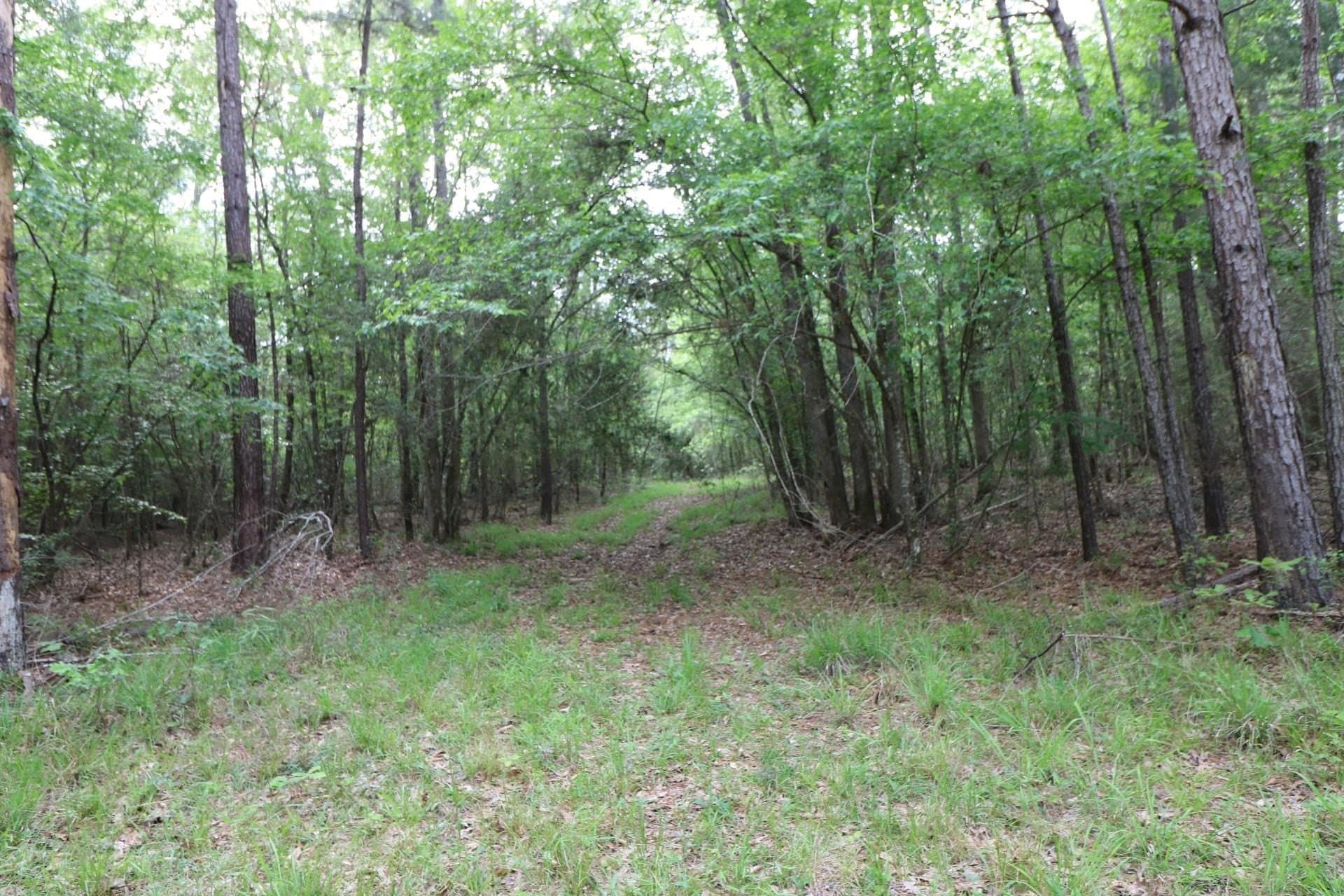 55.8 acres in Texas County - photo 20