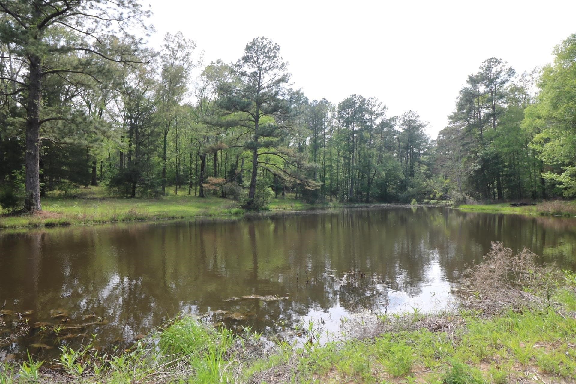 55.8 acres in Texas County - photo 11