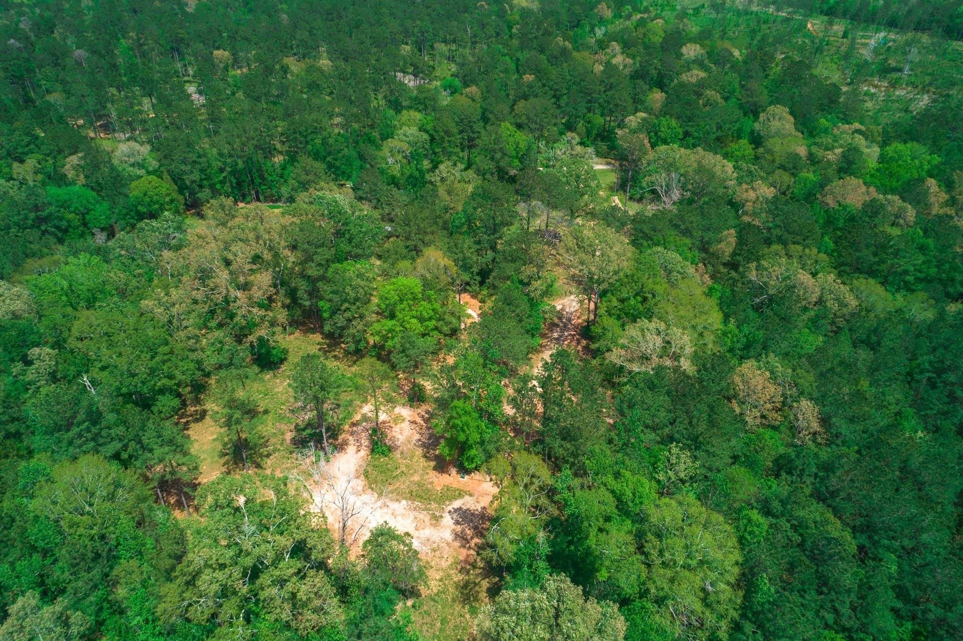 55.8 acres in Texas County - photo 24