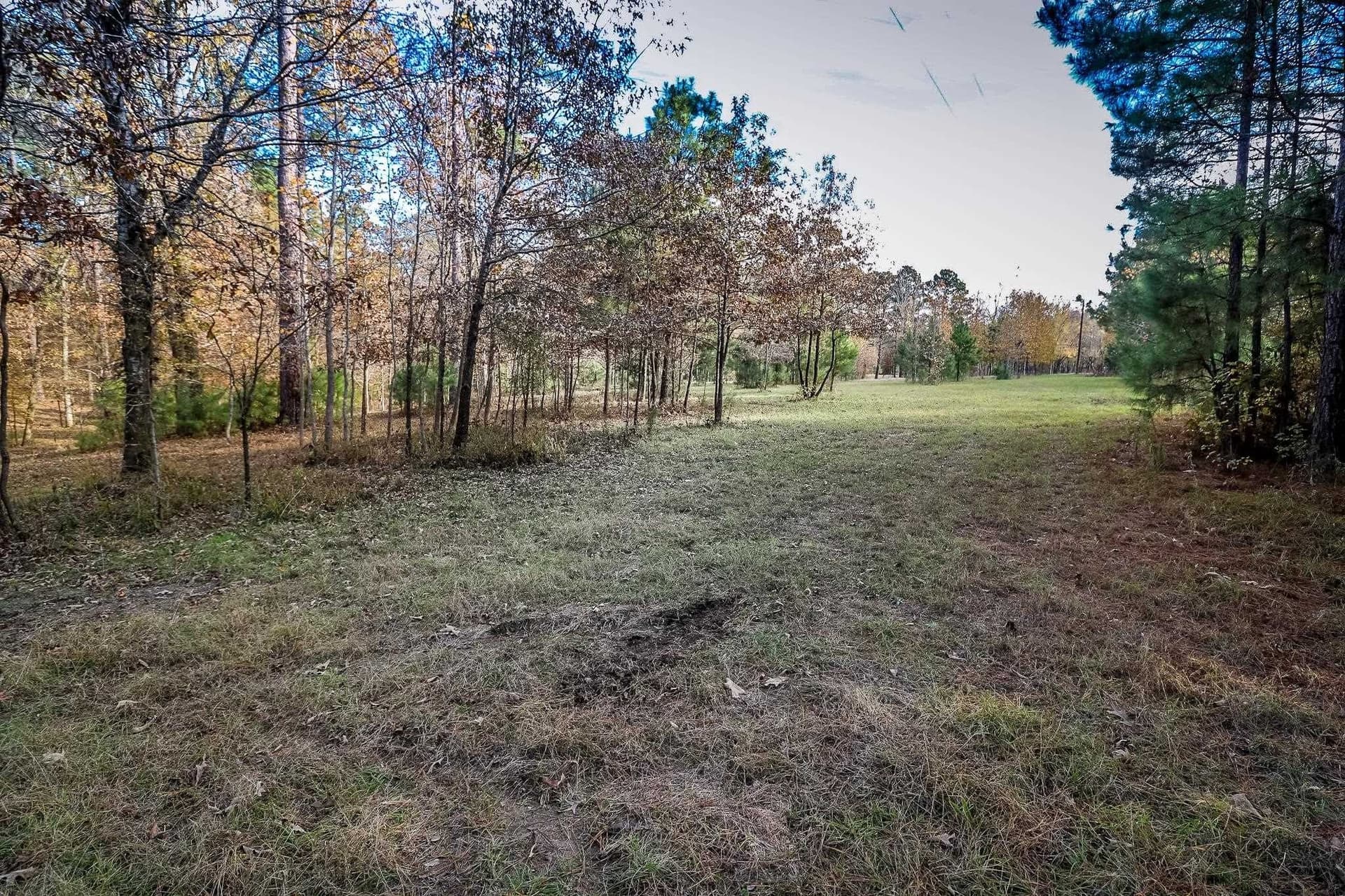 28 acres in Marion County - photo 19