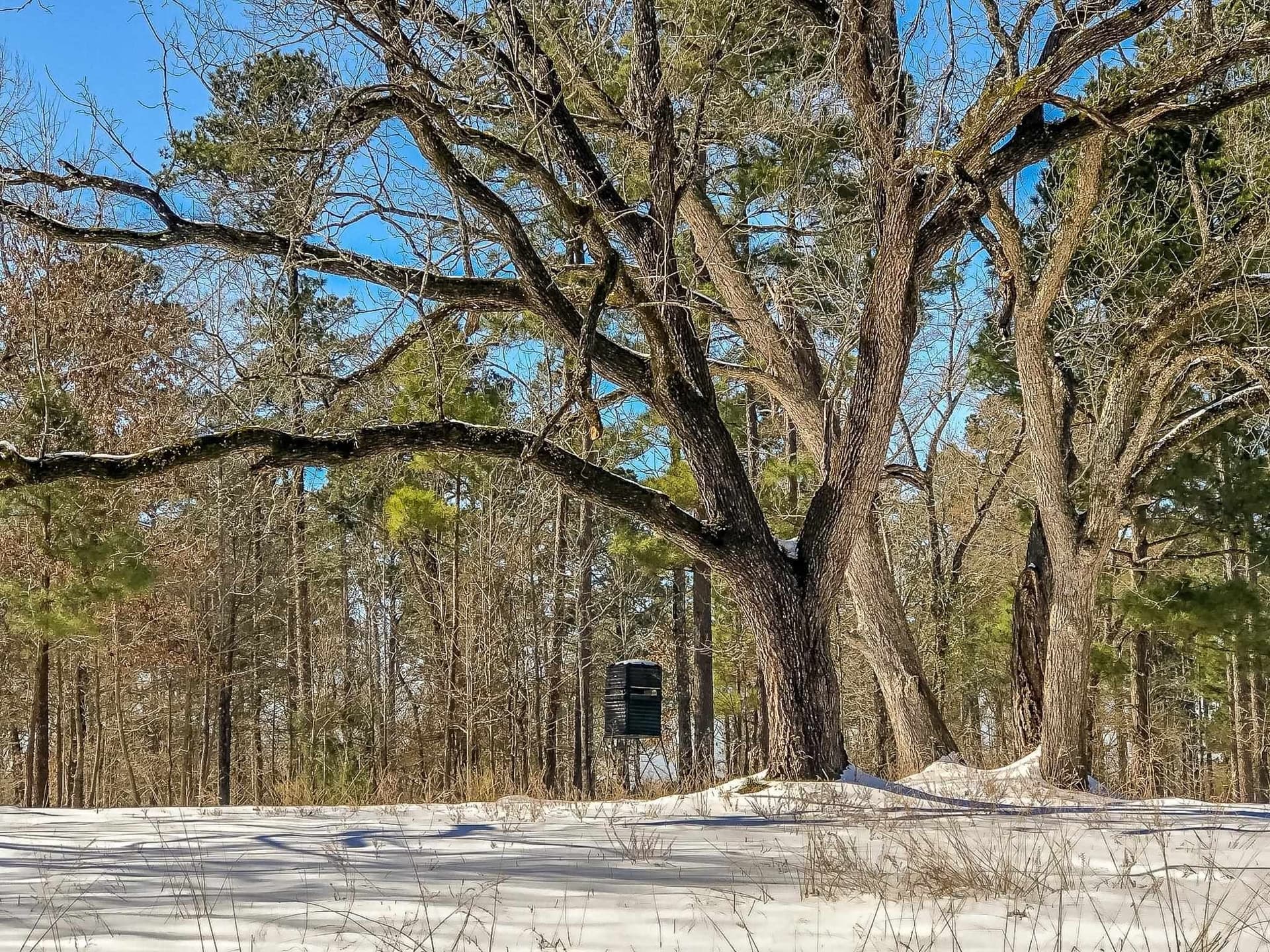 28 acres in Marion County - photo 11