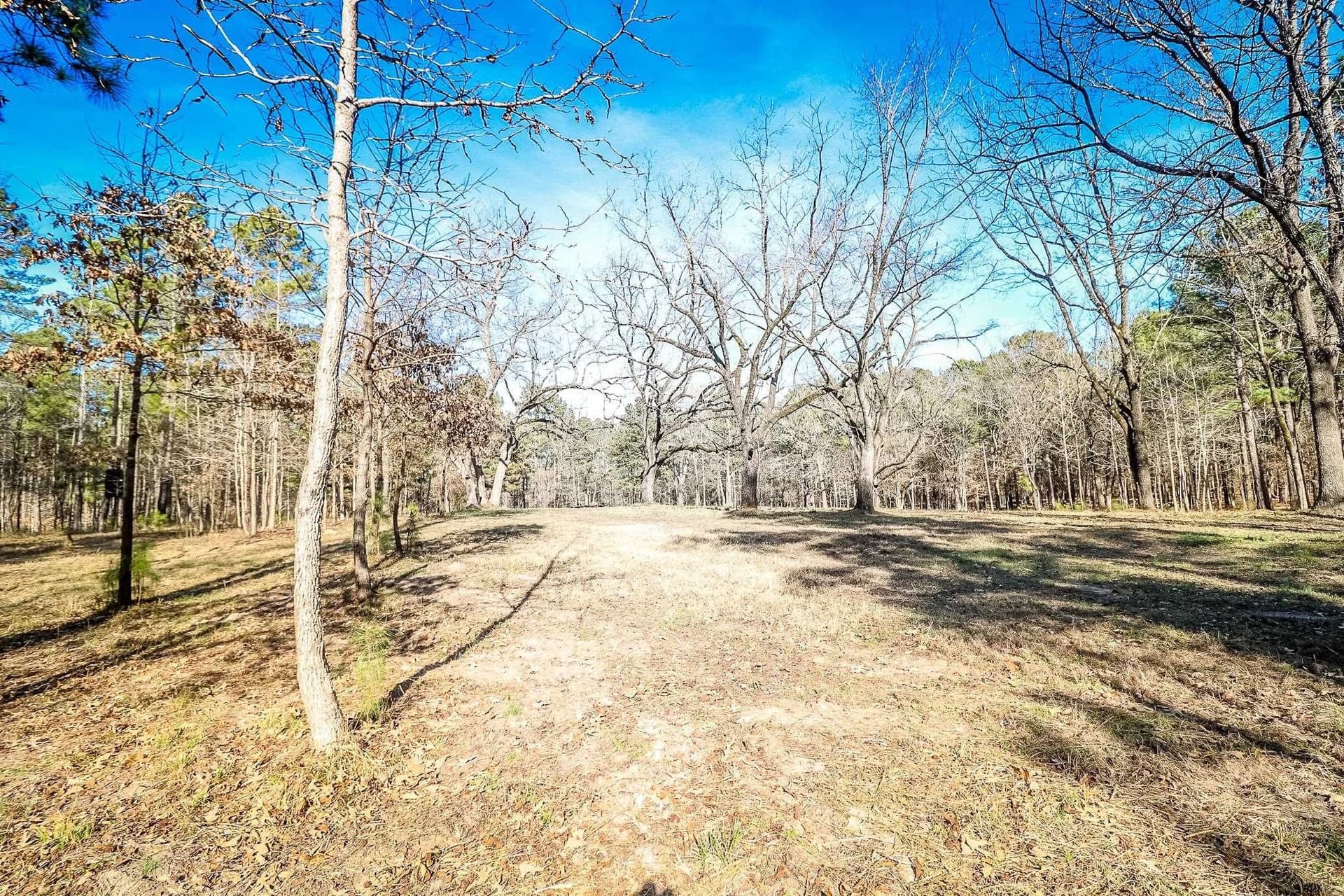 28 acres in Marion County - photo 25