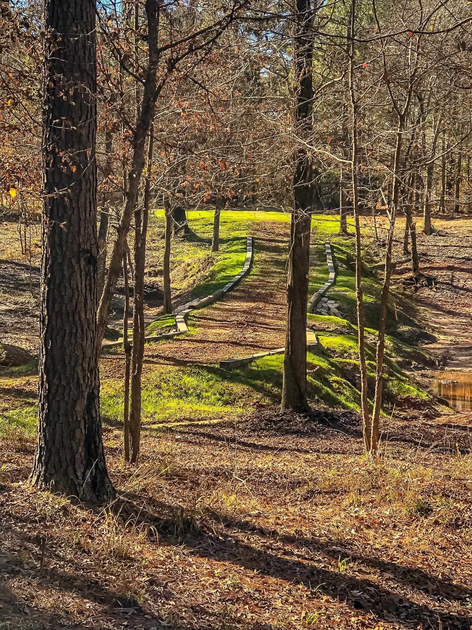 28 acres in Marion County gallery image 3